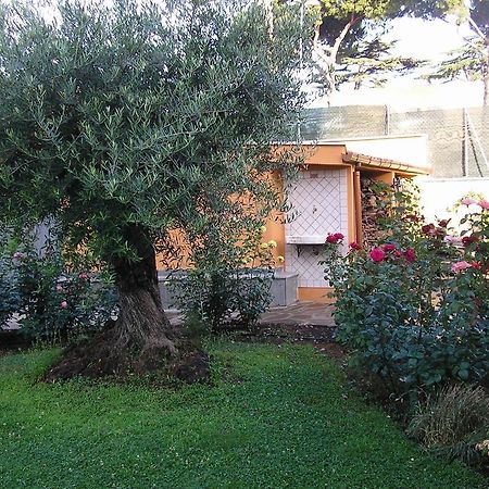 Bed and Breakfast Al Vecchio Olivo Frascati Zewnętrze zdjęcie