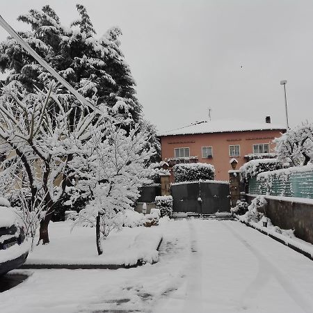 Bed and Breakfast Al Vecchio Olivo Frascati Zewnętrze zdjęcie