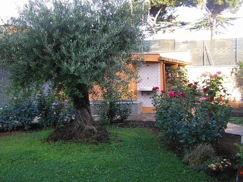Bed and Breakfast Al Vecchio Olivo Frascati Zewnętrze zdjęcie