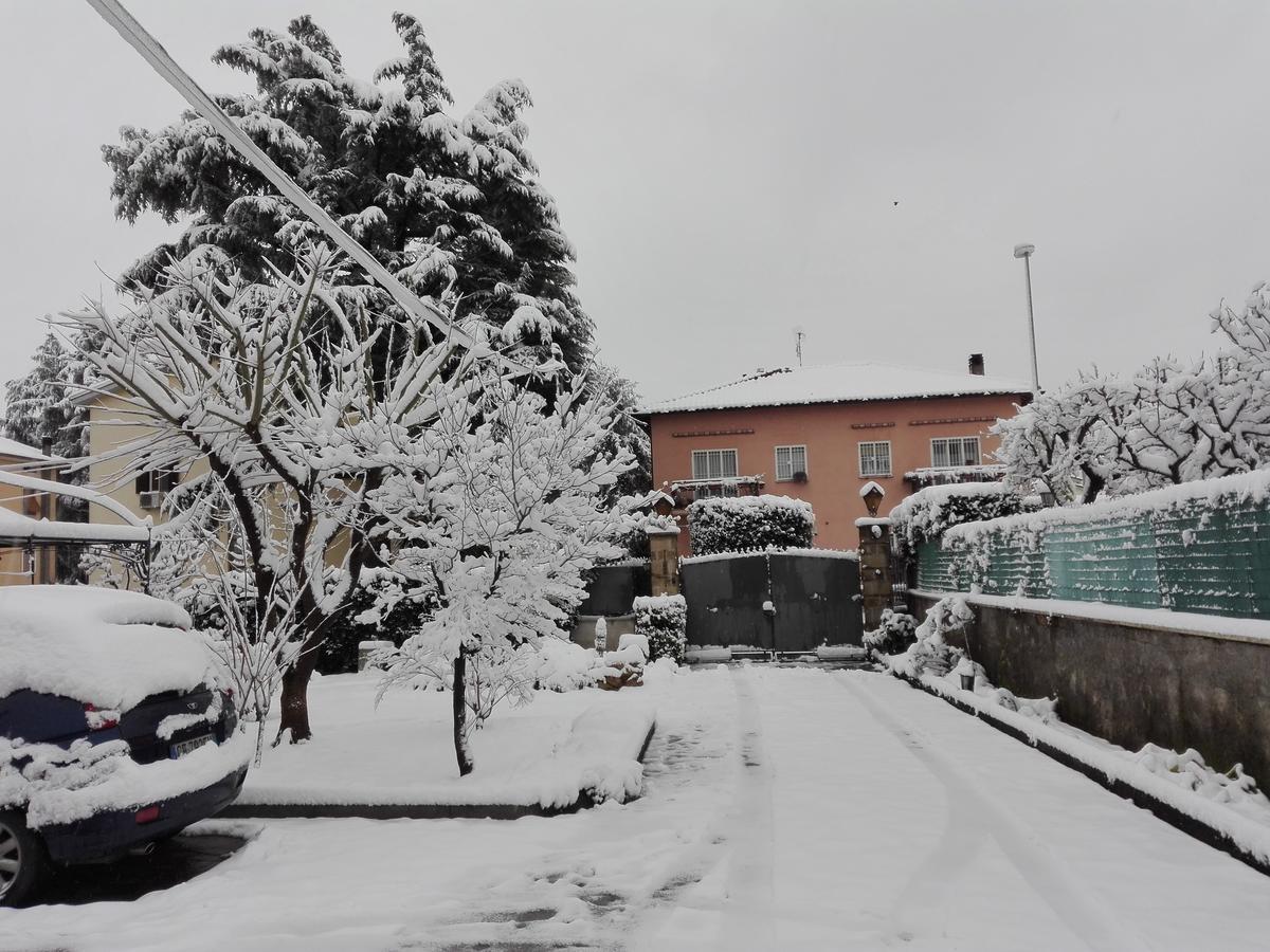 Bed and Breakfast Al Vecchio Olivo Frascati Zewnętrze zdjęcie