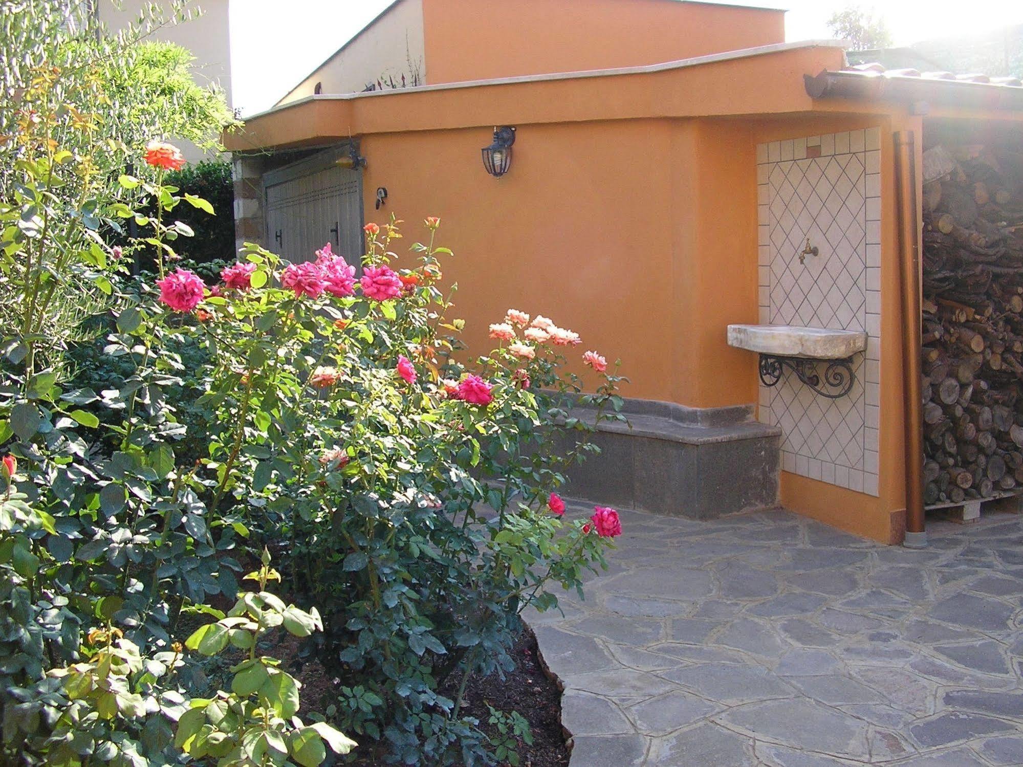 Bed and Breakfast Al Vecchio Olivo Frascati Zewnętrze zdjęcie